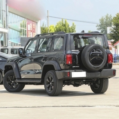 Άμεση προμήθεια Great Wall Tank 300 SUV 8-Gear Gasoline Car Mgnt Πιστοποίηση ISO10012