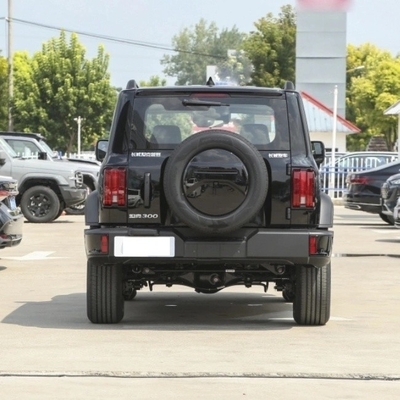 Άμεση προμήθεια Great Wall Tank 300 SUV 8-Gear Gasoline Car Mgnt Πιστοποίηση ISO10012
