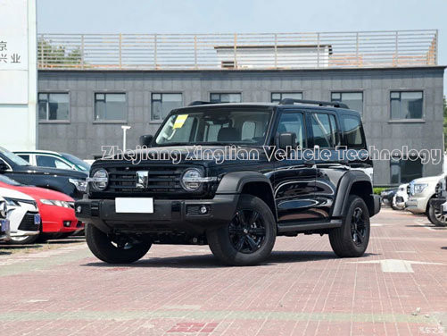 Τανκ 300 Αυτοκίνητο Κινέζικο 8 ταχύτητας 227HP 5 θέσεων Βενζινοκίνητο SUV με Μηχανικό Σύστημα Φρένων