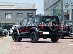 Τανκ Cyper 300 Great Wall Αυτοκίνητο δημοφιλές οχήματα εκτός δρόμου σε Σύμφωνα με τον πελάτη πρωταγωνιστή