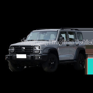 2023 Changcheng Tank 300 και Tank 500 Sport SUV για ενήλικες οχήματα Προσαρμοσμένο αίτημα